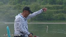 《游钓中国7》第14集 巴拉河畔探急流 小鱼也能玩尽兴