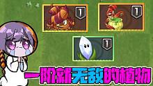 植物大战僵尸：一阶就无敌的植物！贝：无敌是多么多么寂寞！