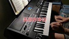 【电子琴/雅马哈SX600】美丽的神话
