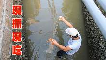 阿雄夫妻撒大网将排水口拦住，鱼群受惊全蹿上网，全部下锅吃爽了