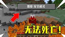我的世界，但是超级安全模式 凋零看到我直接退游戏
