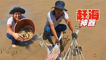 阿阳找到赶海新方法，在沙滩插几十根棍子，竟引来上百只螃蟹觅食