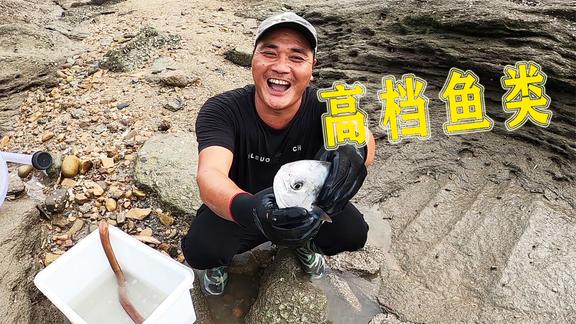 欢迎来到吴哥赶海的直播间