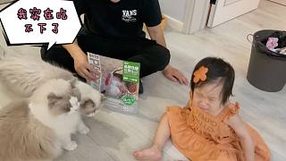 小鏟屎官沉迷喂貓無法自拔，有一種餓叫你帶大的小小鏟覺得你餓