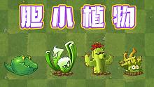 植物大战僵尸：胆小植物你知道几个？胆小荆棘可不胆小！