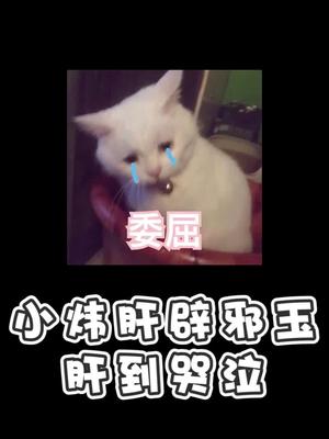 拉水友打深渊破口大骂到底为了啥？