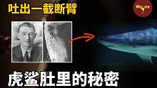 水族馆里的虎鲨竟吐出一截断臂，一桩隐藏的谋杀案浮出水面 | Wayne调查