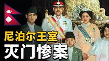 爱情还是阴谋？终结了尼泊尔百年君主制的王室谜案  | Wayne调查