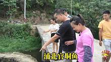 9哥9妹受邀到浦北，广西特色官垌鱼，竟然只是当地村民副业！
