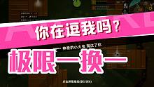 【小动物之星】就 挺 突 然 的 ！