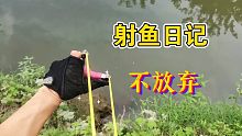 弹弓射鱼 不懈努力终于上了条小白