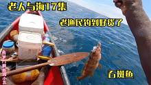 【老人与海17】老渔民病刚好，就迫不及待出海钓鱼，收获还挺不错