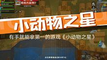 [小动物之星]有手就行