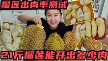 花600元买了21斤榴莲，3个榴莲一起开，看看到底能出多少斤榴莲肉