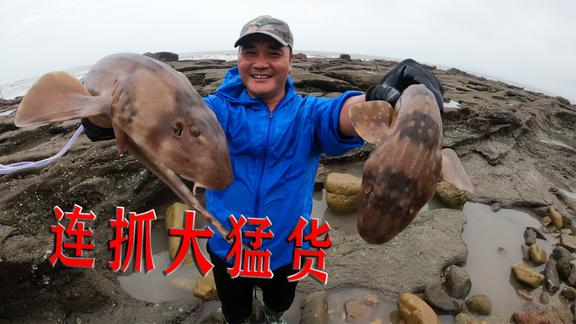 我是一颗小虎牙