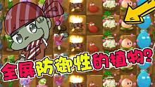 植物大战僵尸：全屏都是防御性的植物？今天来玩点不一样的！