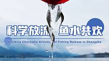 科学放流  鱼水共欢