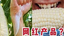 打假奶糖玉米，网上到底有没有骗人