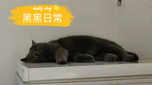 小黑日常记录～