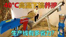 40°C没补贴也能干，超省人工的流水线，养殖人留步看看