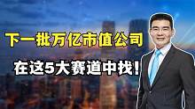 下一批万亿市值公司，在这5大赛道中找！