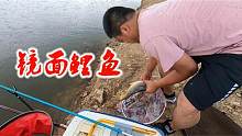 小伙一小时钓七八十斤鱼，丹东钓鱼场生意火爆，看看咋收费？