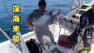 釣石斑遇到深海米魚群，阿鋒連續(xù)釣上兩條，高興的跳起了舞