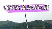 挑战关雎河畔里的巨鲢。 "黑坑盘老板  "户外钓鱼  "钓鱼技巧