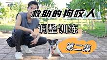 救助狗狗咬人调整训练第二集