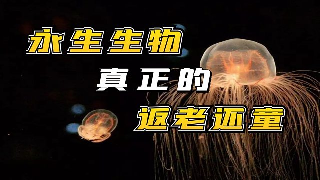 永生生物,技能点加满!如果人类破解,我们也可实现