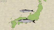 日本史|江戸時代の産業と交通