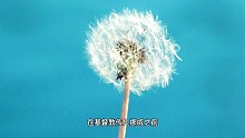 苏菲世界哲学有声读物25