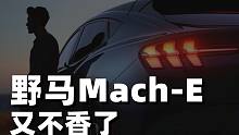 马斯克modely杀疯了？我可能又要退野马的mach-E换比亚迪汉
