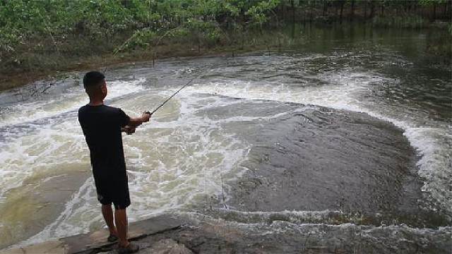 小猛哥继续户外钓翘嘴鱼,1竿下去直接连上3条鱼,太喜人了
