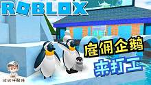 Roblox企鹅大亨：雇企鹅来为我打工！把企鹅的鱼和蛋全卖掉！