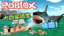 Roblox鲨鱼生存：我的船也太垃圾了！每次都被鲨鱼追上！