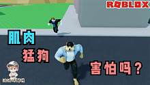 Roblox肌肉模拟器：超级肌肉猛狗波波仔来了！你害怕吗？