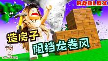 Roblox新自然灾害模拟器：可以建造东西来抵挡自然灾害的新游戏！