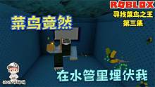 Roblox寻找菜鸟之王故事：可恶的菜鸟士兵竟然在水管里埋伏我！