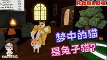 Roblox噩梦模拟器：梦中的猫咪竟然长出了兔耳朵！