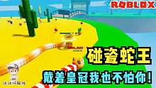 Roblox贪吃蛇模拟器：披上圣诞糖皮肤！碰瓷戴着皇冠的蛇王！