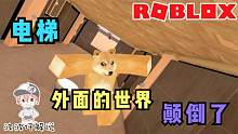 Roblox普通电梯：电梯外面的世界被颠倒了！这是异次元空间吗？