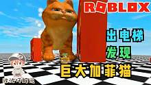 Roblox搞笑电梯：出了电梯发现巨大加菲猫！还好它只想吃猫粮！