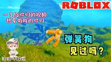 一支给你的Roblox视频：我的狗子装上了弹簧！掉下去会更赚钱吗？