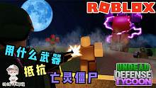 Roblox亡灵防御大亨：用什么武器打僵尸最有效？来这个游戏试验！