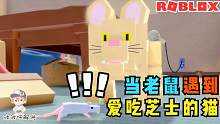 Roblox猫捉老鼠模拟器：我变成了小老鼠却转角遇到猫！攻略特长生