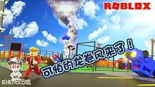 Roblox龙卷风模拟器：粉丝让我逃别管他！龙卷风吞噬他时我感动了