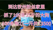 今天到粉丝家收了100条均35斤大狗，很漂亮，21一斤！共得了73500