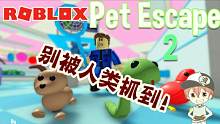 roblox“宠物逃生2”波波仔解说：快从人类的宠物商店逃离！