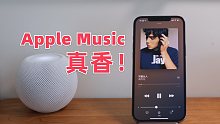 从不好用到真香，我的 Apple Music 使用经验分享